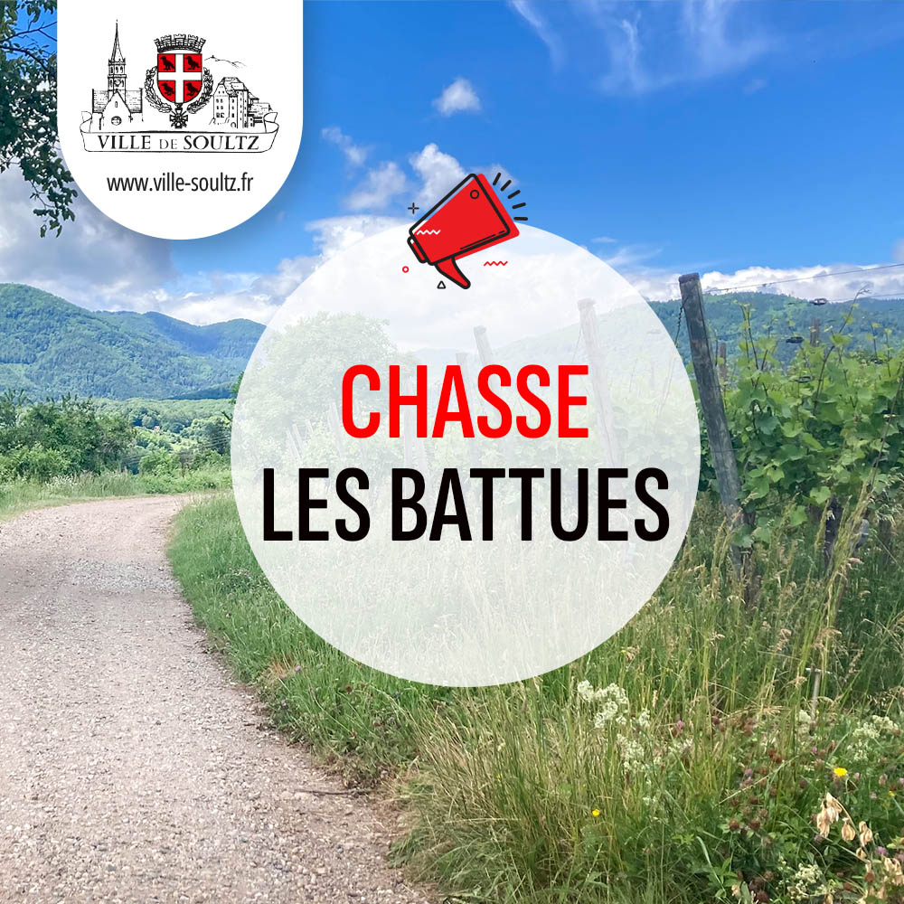 Chasse - Les battues